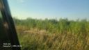 20250911_084940.jpg