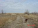 DSC01243.JPG